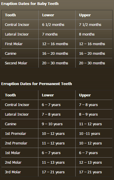 smilemakeover of la's children's dentistry chart